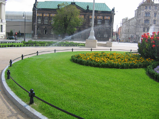 Plac Wolności Poznań